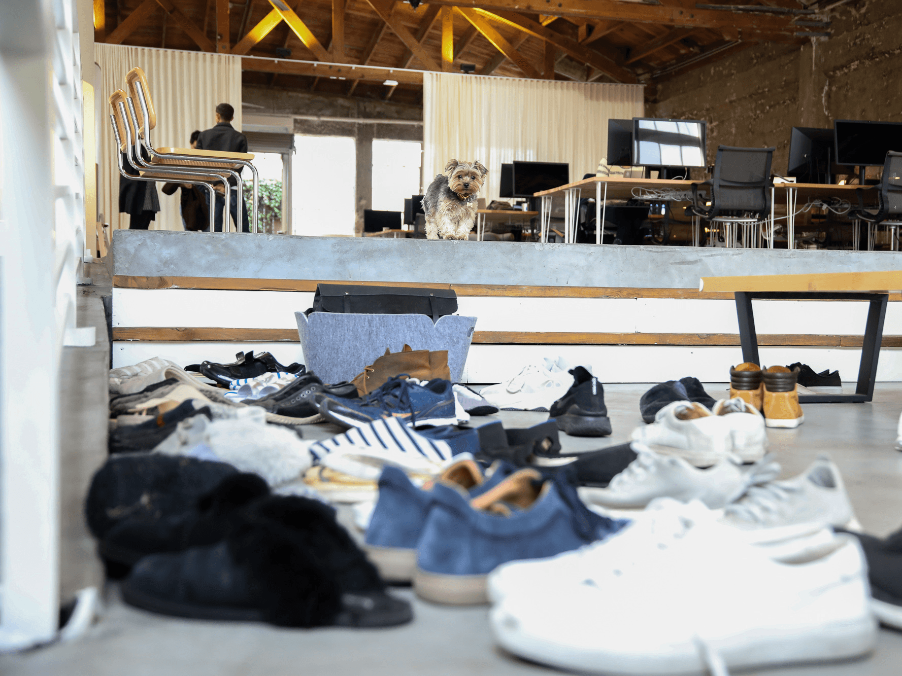 Notion workspace